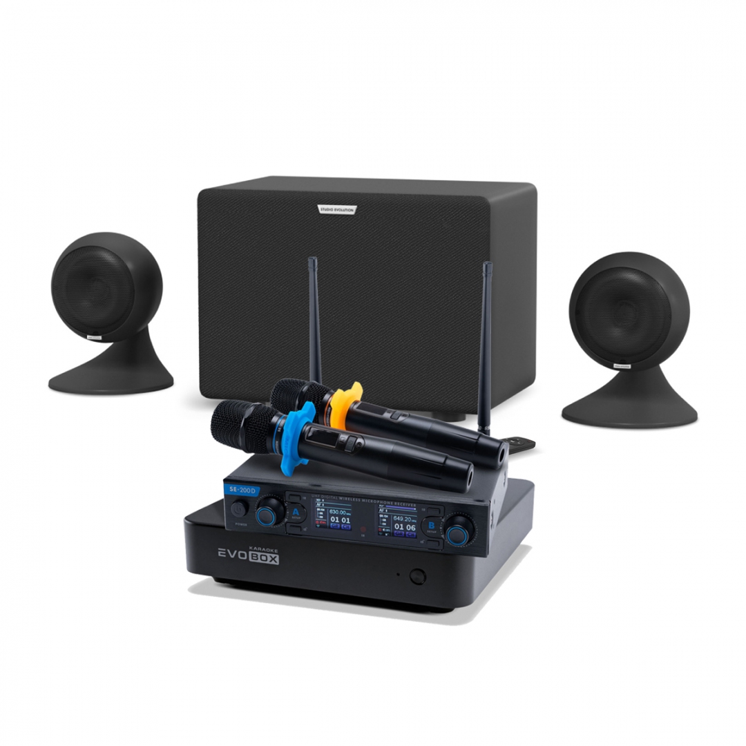 караоке-комплект EVOBOX + EvoSound Sphere 2.1 в Искитиме
