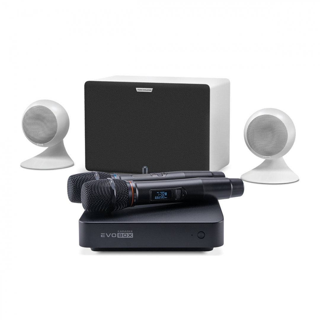 караоке-комплект EVOBOX Classic + EvoSound Sphere 2.1 в Искитиме