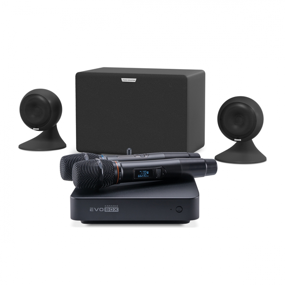 караоке-комплект EVOBOX Plus + EvoSound Sphere 2.1 в Искитиме