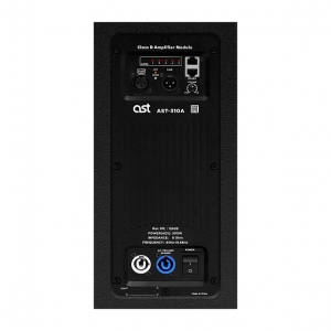 Активная акустическая система AST-310A в Искитиме