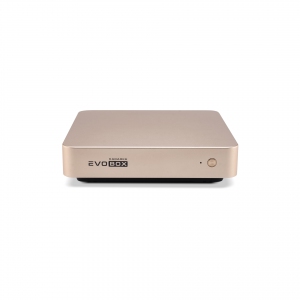 EVOBOX с микрофонами в Искитиме