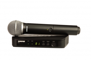 SHURE BLX24E/PG58 M17 вокальная радиосистема в Искитиме